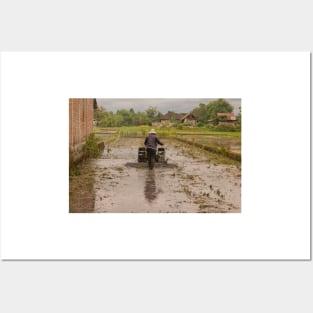 A man in backside view plows a village rice field. Posters and Art